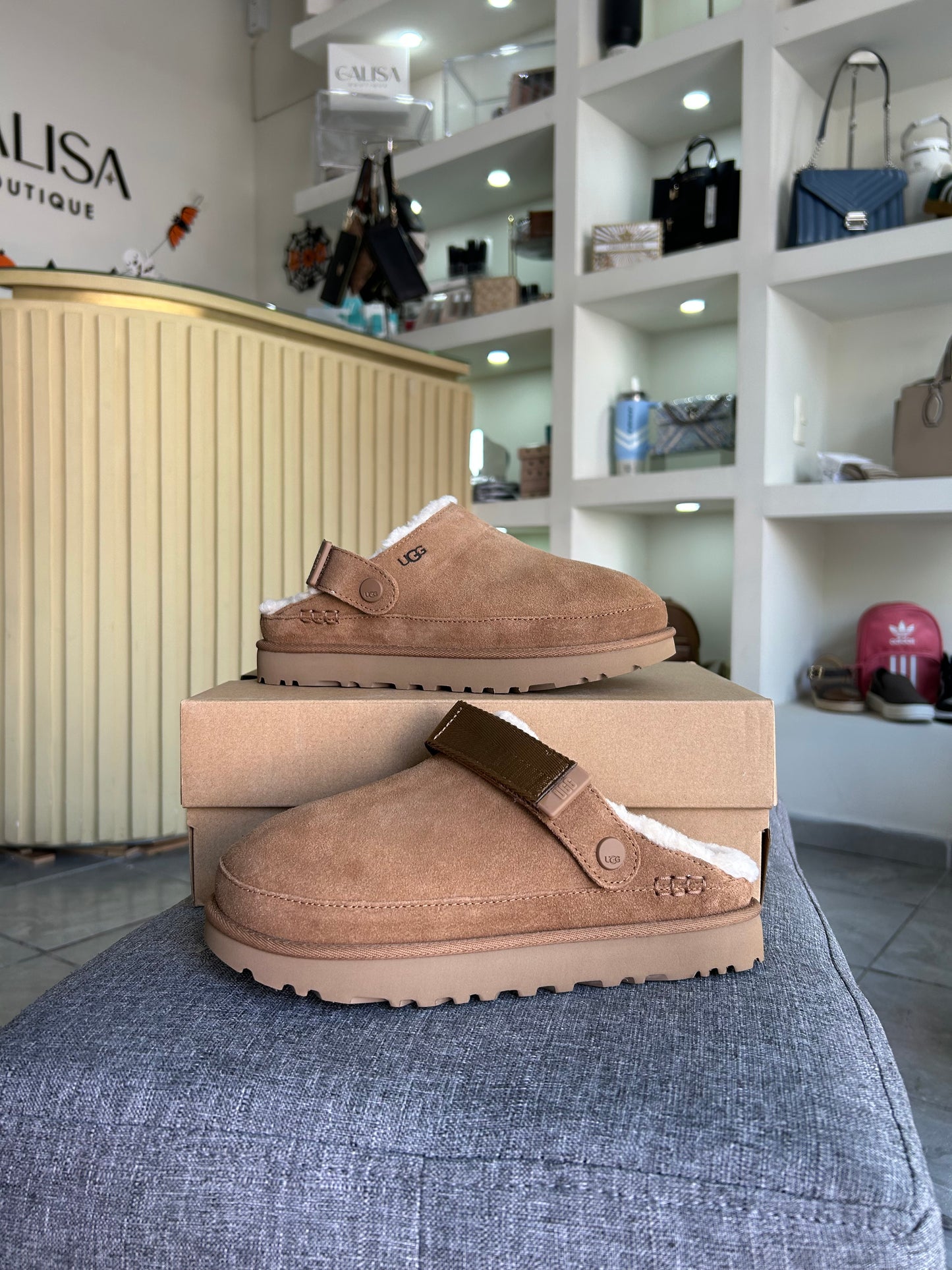 Slipper Ugg cafe clog