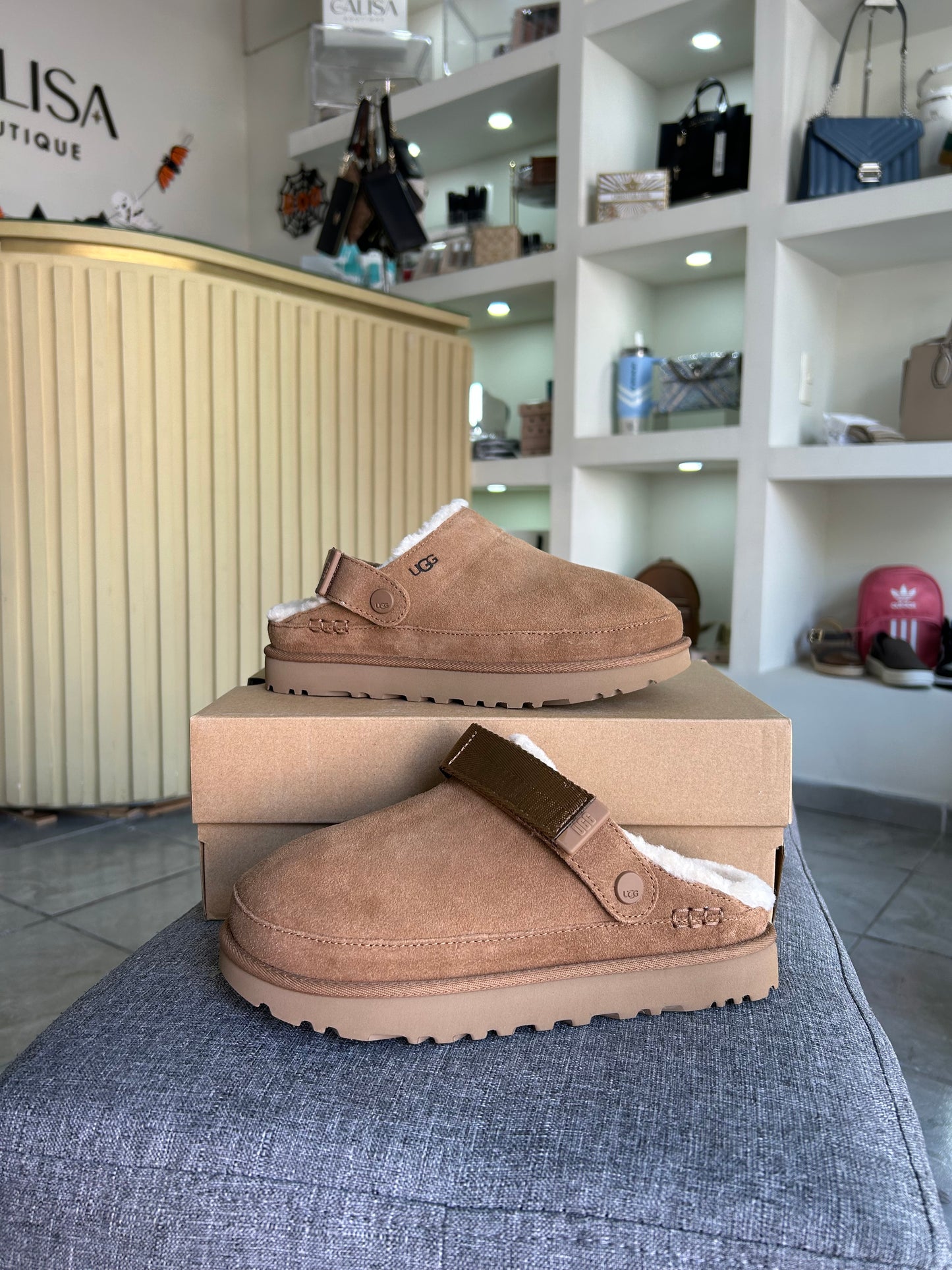 Slipper Ugg cafe clog