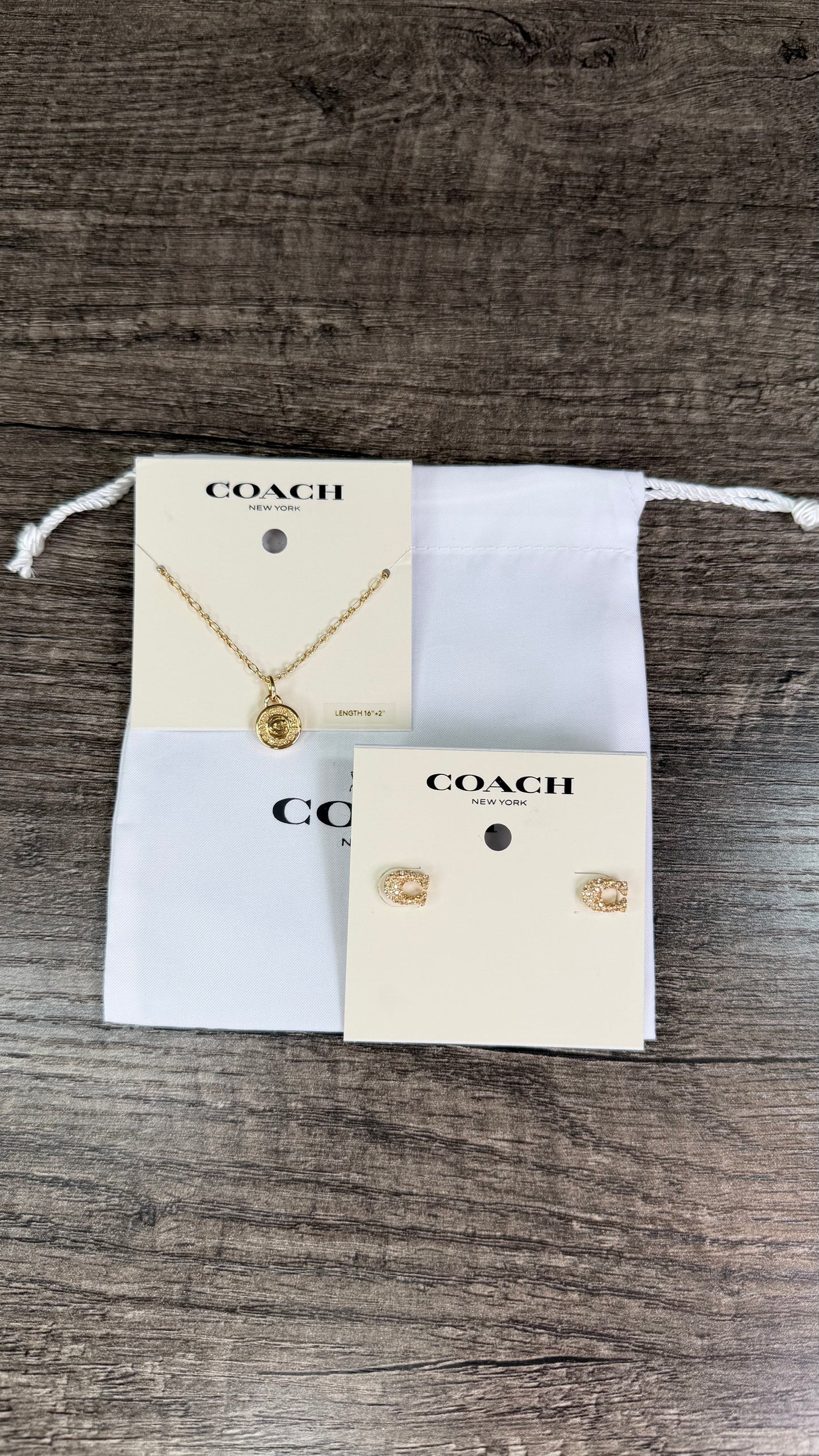 Arete y collar Coach brillitos