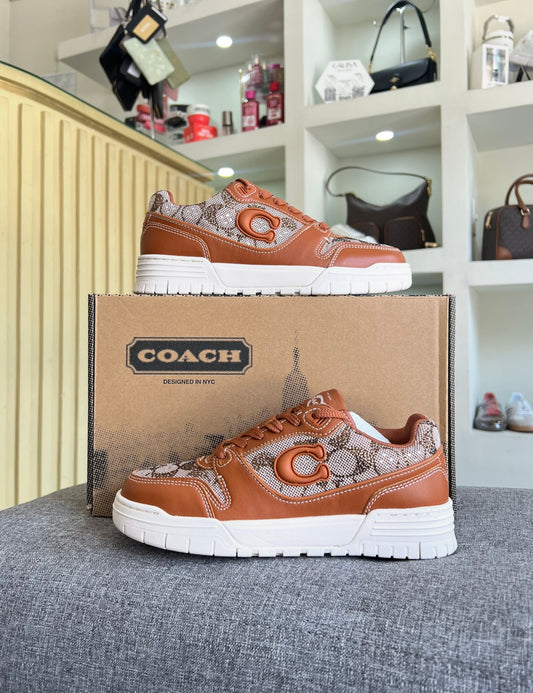 Teni Coach cafe estampado brillos talla 3.5 mx