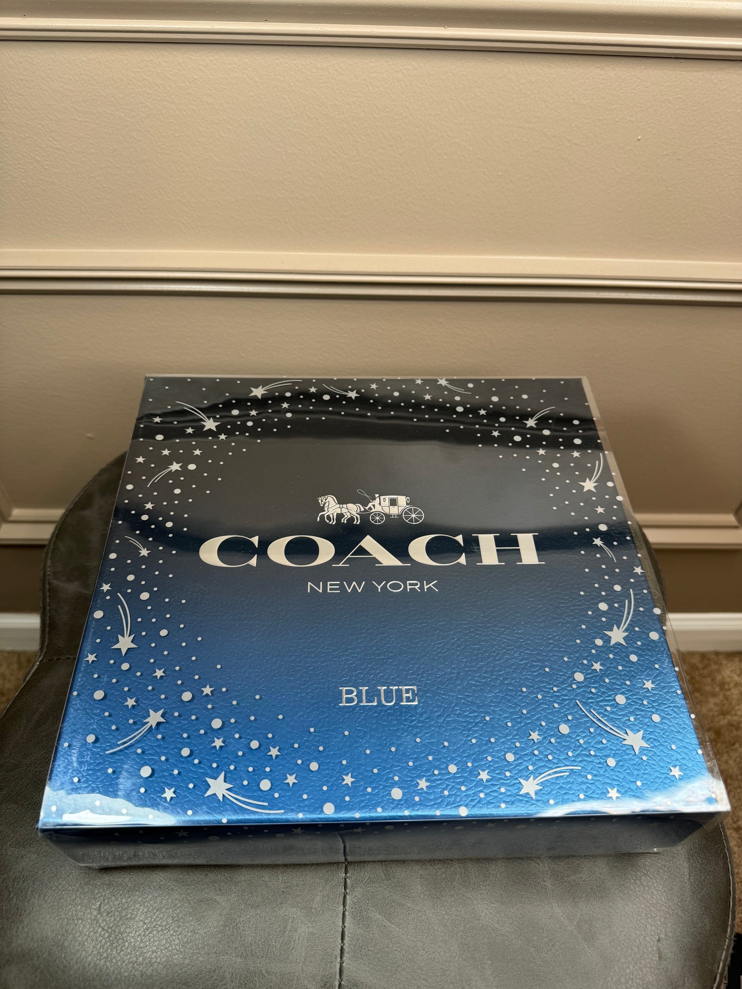 Set COACH BLUE